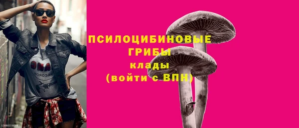 ешки Липки