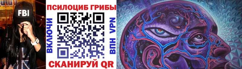 как найти закладки  Щёлкино  Галлюциногенные грибы Psilocybe 